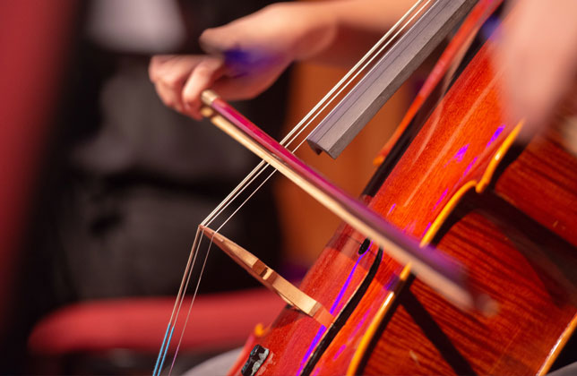 Learn more about String Instruments class